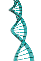 Image of DNA sequence